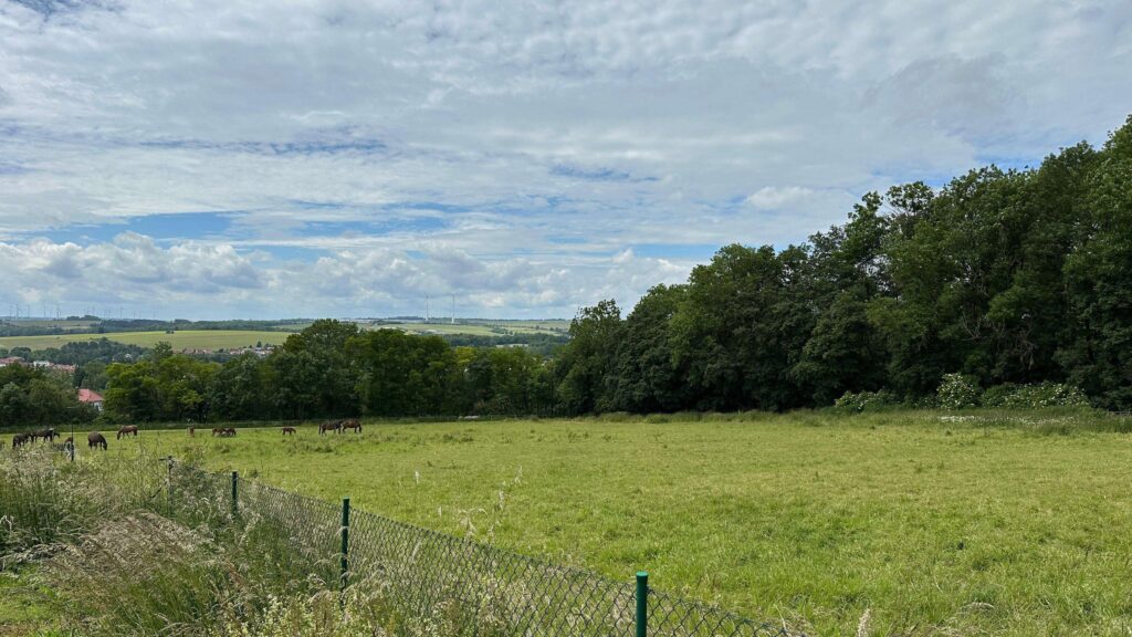 Wiese, Gartengrundstück zu verkaufen