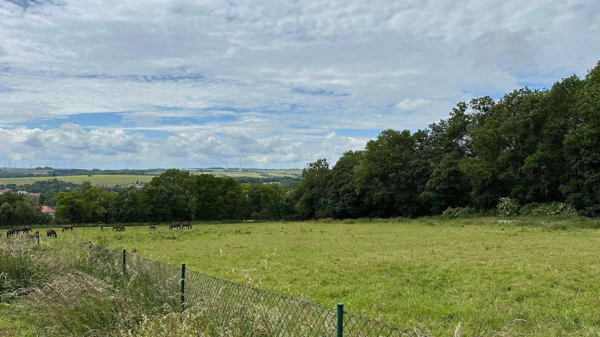 Wiese, Gartengrundstück zu verkaufen